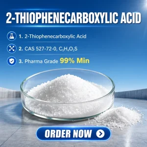 2-Thiophenecarboxylic Acid CAS 527-72-0 99% Min C5H4O2S Thiophene Heterocyclic Pharmaceutical Intermediate
