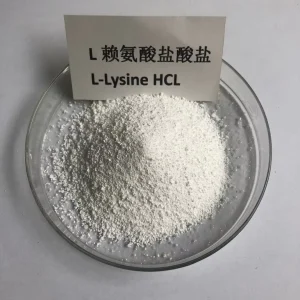 99.5% Nutritional Supplement CAS 657 27 2 Organic L-lysine Hydrochloride Powder Industrial & Food Grade