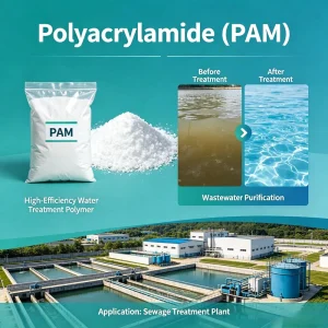 Advanced Cationic PAM Powder for Organic Wastewater Flocculation and Settling