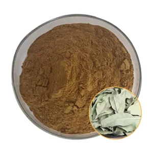 Apocynum Venetum Leaf Extract 10:1 20:1 30:1 Ratio Extraction Water-Soluble Food Grade Herbal Extract Powder