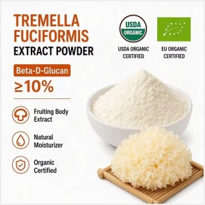 Beta d glucan≥10% Organic Snow Fungus Tremella Mushroom Powder Tremella Fuciformis Extract Powder