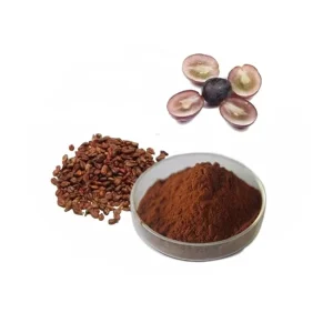Bulk Pure Raw Dried Grape Seed Extract Powder with Anthocyanin and Solvent Extraction Top Grade 1kg Protein Drum Packaging