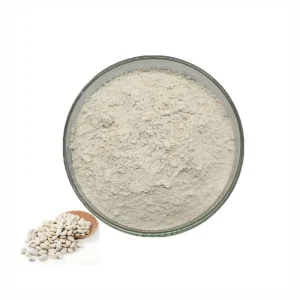 Bulk White Kidney Bean Powder Food Grade White Kidney Bean Extract