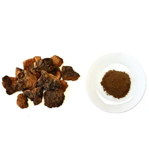 Chaga Mushroom Extract Powder 30% Polysaccharides