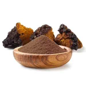 Chaga Mushroom Extract Powder 30% Polysaccharides Natural for Dietary Supplements and Beverage