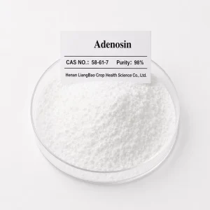 Chemical Intermediate Adenosin Source 98%TC CAS 58 61 7 White Crystalline Powder Molecular Biology Application FL