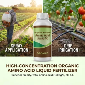 China Biostimulants Organic Nitrogen Liquid Fertilizer Amino Acid Liquid 50% (8-0-0) High Efficiency Plant Based Organic