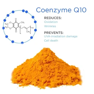 Coenzyme Q10 Ubiquinol CoQ10 98% Powder