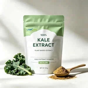 Factory Supply Natural Kale Leaf Extract Powder 10:1 20:1 100% Solvent Extraction Food Grade Plant Raw Material