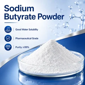Factory Supply USP Grade Sodium Butyrate Powder 99% Water Soluble Bulk Raw Material CAS 156-54-7 For Supplement Manufacturing