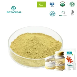 Food Grade Liposomal Fisetin Powder Fisetin Anti aging Powder Capsules for Brain Health & Strength Support