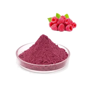 Food Grade Water-Soluble Raspberry Extract Red Raspberry Juice Powder