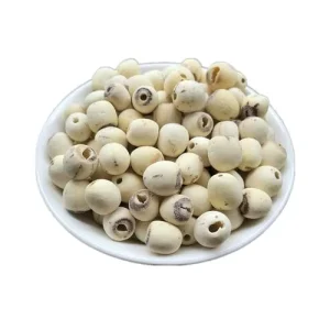 Fresh Lotus Lily Seeds Snack Dried Varieties for Food Markets