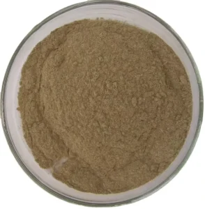 GMP Standard High Quality Tetrandra Extract Food Grade Radix Stephaniae Powder Form Solvent Extraction HPLC Vacuum Packed Drum
