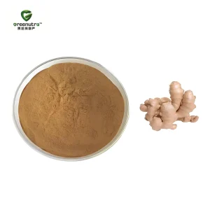 Ginger Extract 5% Gingerols Food Additive Grade Organic for Food Industry and Flavor Applications