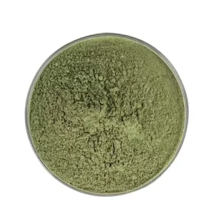 Green Tea Extract High Quality Matcha Powder Joint Health Joint Health Bone Health Fast Delivery Sample Service