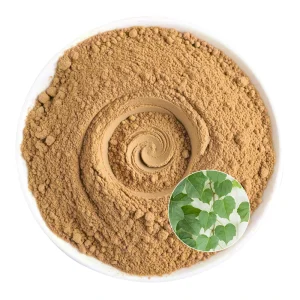 ISO9001 Halal Kosher Certified Ivy Leaf Extract Saponins Powder Antioxidant Private Label Custom Branding Solutions Adults