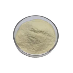 Lactobacillus Helveticus HH28 High-Potency Probiotics Powder Raw Material Bulk GMP Certified Stabilized