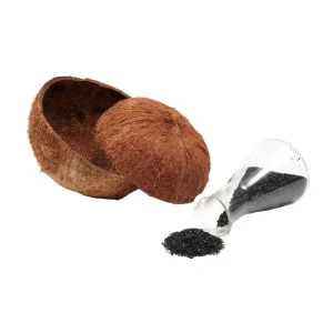 Manufacturer Activated Carbon Coconut Shell Base Powdered Activated Chemical Auxiliary Agent For Food Drink Industry ANS YK H