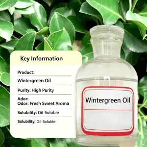 Methyl Salicylate CAS 119-36-8 Industrial Grade High Purity Organic Ester for Intermediates
