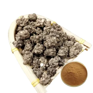 Natural Cat’s Claw Herbal Extract Powder Solvent Extraction 10:1 Drum Packaging