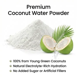 Natural Coconut Water Powder High Content Electrolytes Amino Acids Vitamins Food Grade Raw Material Spray Dried No Added Sugar