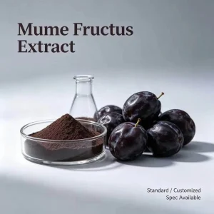 Natural Food Grade 10 1 Prunus Mume Smoked Plum Fruit Extract Powder for Nutritional Supplements