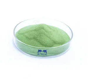Natural Green Seaweed Extract Powder Organic Biostimulant for Fruits Vegetables Improve Yield & Soil