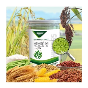 Natural Green Seaweed Extract Powder Organic Biostimulant for Fruits Vegetables Improve Yield & Soil