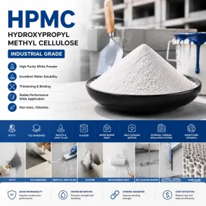 OEM HPMC Hydroxypropyl Methyl Cellulose for Construction Chemicals Tile Adhesive and Mortar Additive CAS 9004 65 3