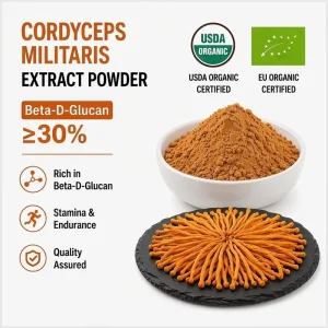 Organic 1:1 Beta-D-Glucan 30% Cordyceps Militaris Mushroom Extract Powder