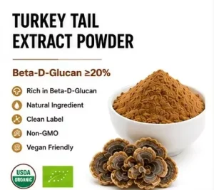 Organic 20% Beta-Glucan Turkey Tail Mushroom Extract Powder