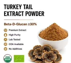 Organic 30% Beta-Glucan Turkey Tail Mushroom Extract Powder