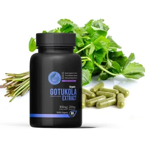 Organic Herbal Supplements Gotukola Extract Capsules From Sri Lanka