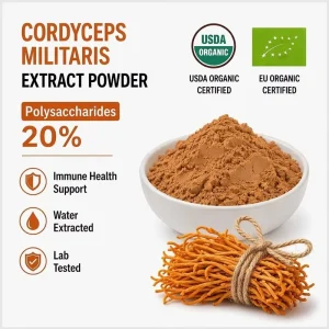 Organic Polysaccharides 20% Cordyceps Militaris Mushroom Extract Powder