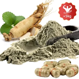 Original Ginseng Root Powder Improve Digestion Muscle Building Pills Herbal Ginseng Weight Gain Supplement for Men Women