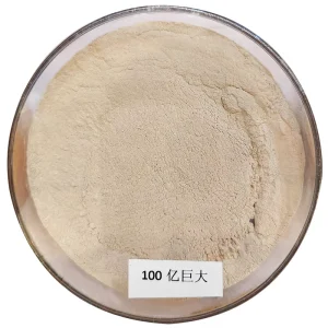 Phosphate Solubilizing Bacteria Bacillus Megaterium PGPR Biofertilizer for Wheat Corn Rice Vegetables 100B CFU g