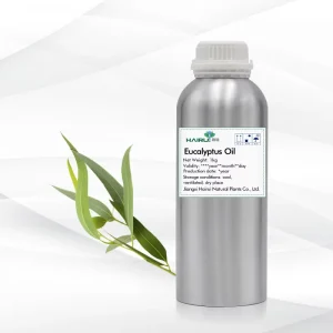 Pure Essential Oil For Cosmetic Grade Plant Extract Eucalyptus Oil
