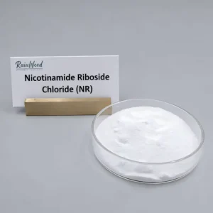 Rainwood USP Grade Nr Powder NR 99 Nicotinamide Riboside Powder Nr Nicotinamide Riboside Chloride