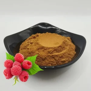 Raspberry Extract Concentrated Powder Food Grade Raw Material Solvent Extracted Vacuum Packed 80-100 Mesh Drum