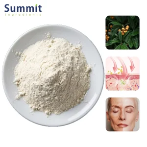 Supply Rosemary Extract Powder Loquat Leaf Extract Food Ursolic Acid 25% 50% 98% Organic Powder Drum Bulk Natural Supplement