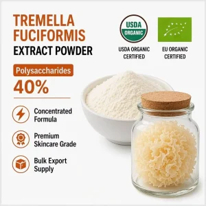Tremella Fuciformis Mushroom Extract 40% Polysaccharides Snow Fungus Powder Concentrated Fruiting Body