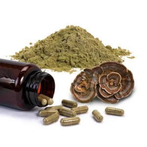 Turkey Tail Mushroom Extract Powder Capsule Mushroom Capsule
