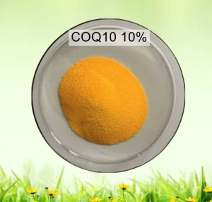 Water-Soluble CoQ10 10% Ubiquinol Powder